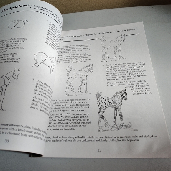 How To Draw Lot Of 5 Assorted Books -Cartooning, Airplanes, Horses & Animals - Picture 7 of 11